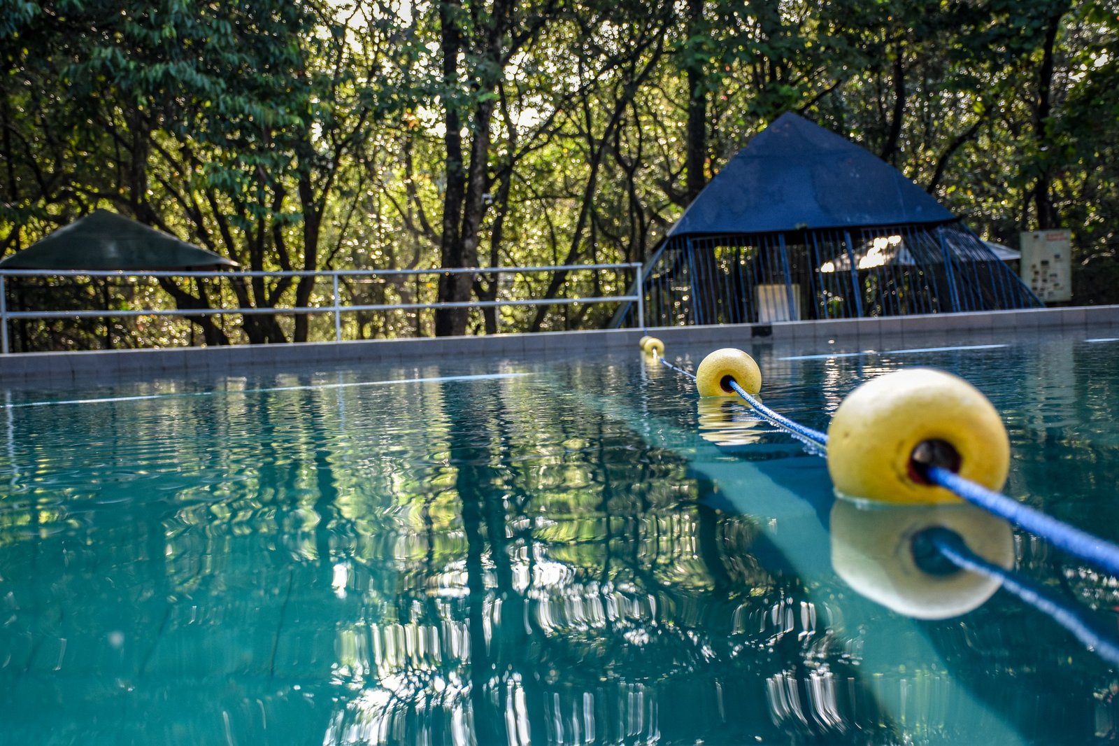 Tranquil poolside view at eco-friendly hotel in Sri Lanka