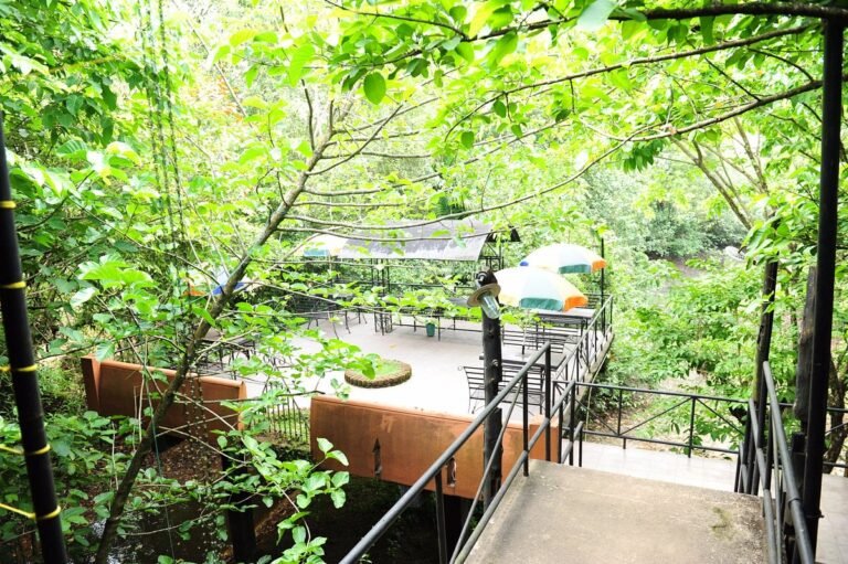 Relaxing outdoor dining area surrounded by nature at Ambalama Leisure Restaurant